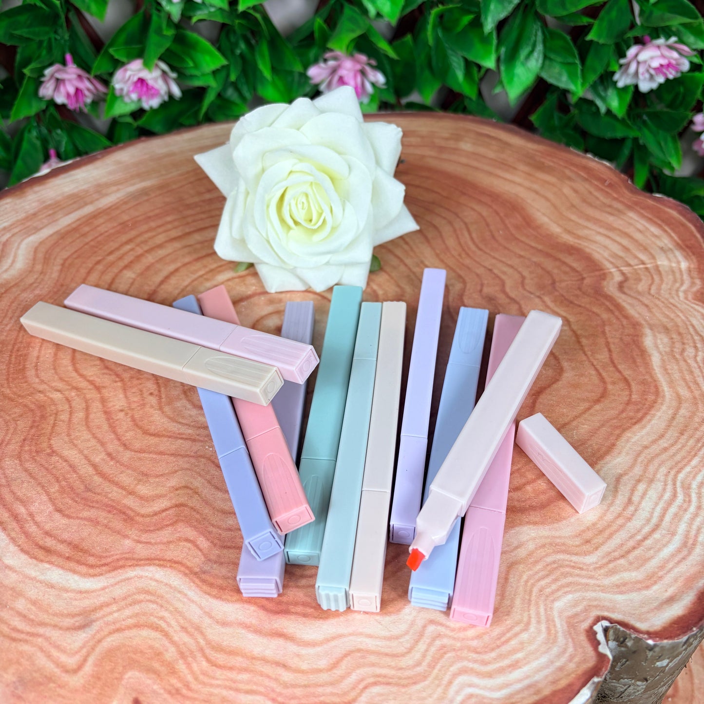 Back to School/Wedding Planner - Deluxe Box Set