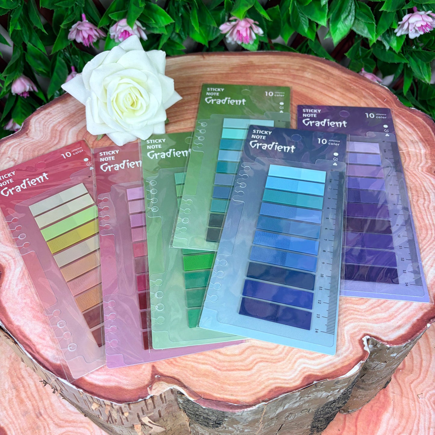 Back to School/Wedding Planner - Deluxe Box Set
